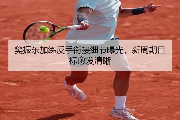 樊振东加练反手衔接细节曝光，新周期目标愈发清晰