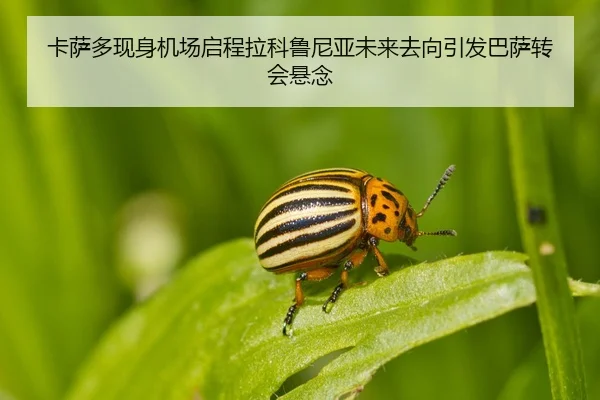 卡萨多现身机场启程拉科鲁尼亚未来去向引发巴萨转会悬念