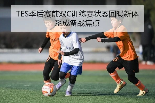 TES季后赛前双C训练赛状态回暖新体系成备战焦点