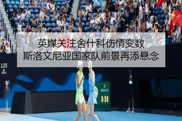 英媒关注舍什科伤情变数 斯洛文尼亚国家队前景再添悬念